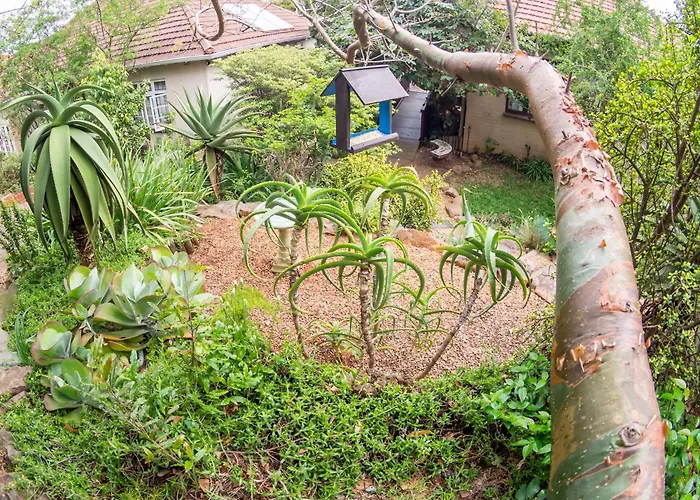 Mackaya Bella Guest House